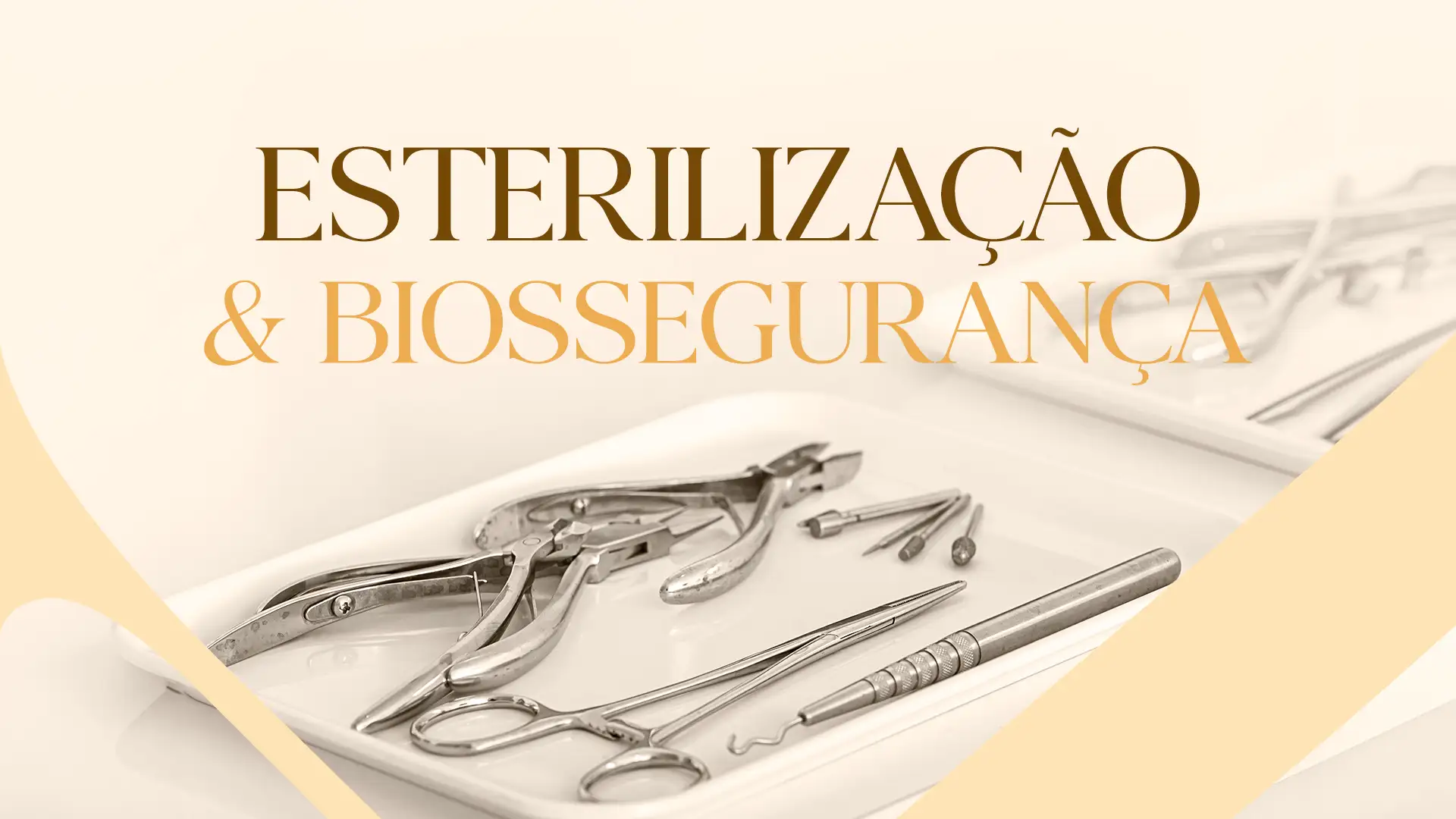 MÓDULO 3 - ESTERILIZAÇÃO
